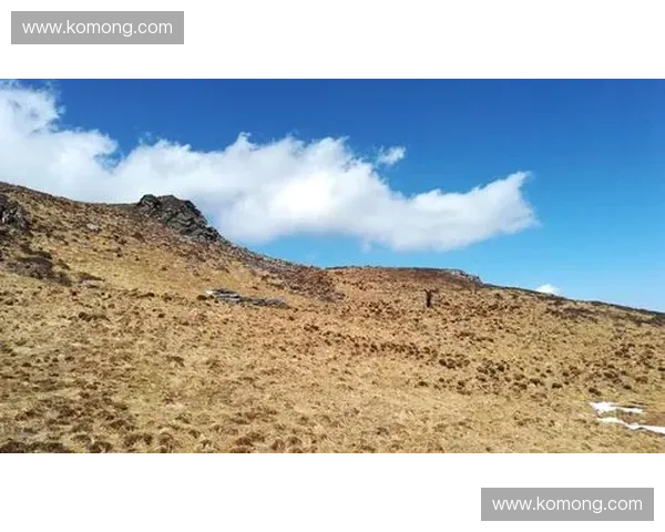 Dota2老板带领团队挑战新高峰揭秘游戏产业背后的成功秘诀